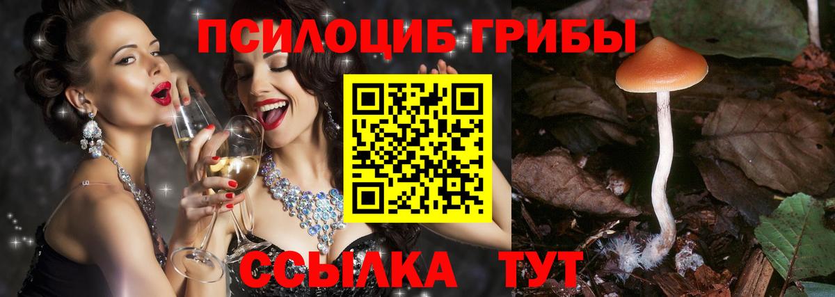Галлюциногенные грибы прущие грибы Муравленко