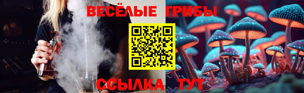 где продают наркотики  Галлюциногенные грибы Psilocybine cubensis  Вход с VPN  Псилоцибиновые грибы ЛСД  Муравленко 